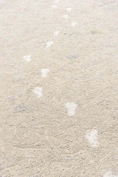 Pegada na areia e habitat do Caranguejo Fantasma na areia — Fotografia de Stock