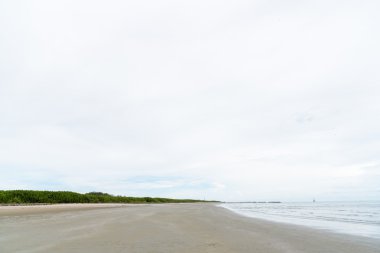 Mangrov orman ve bulutlu gökyüzü, phetchaburi, Thail Körfezi