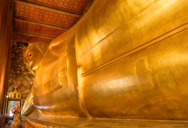 Buda 'nın altın heykeline yaslanarak. Wat Pho, Bangkok, Tayland