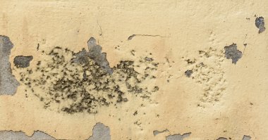 Grunge eski sarı çimento duvar 