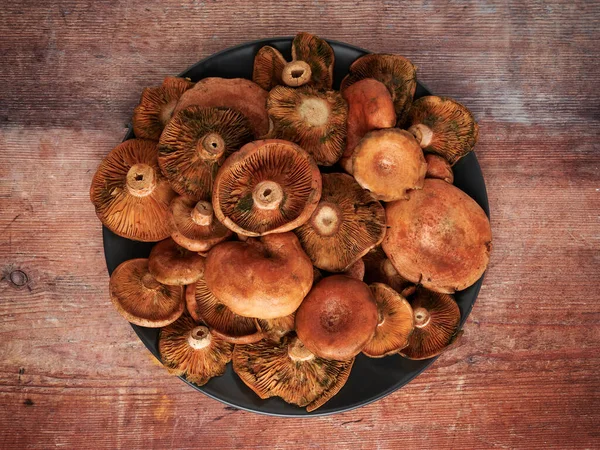 Placa Rovellons Niscalos Cogumelos Típicos Outono Fundo Madeira Vista Superior — Fotografia de Stock