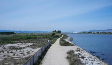 Güneşli bir günde, bir nehrin ağzında
