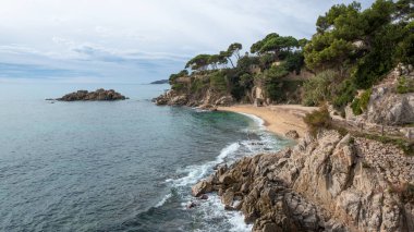 Rocky plajı ve çam ağaçlı kıyı şeridi