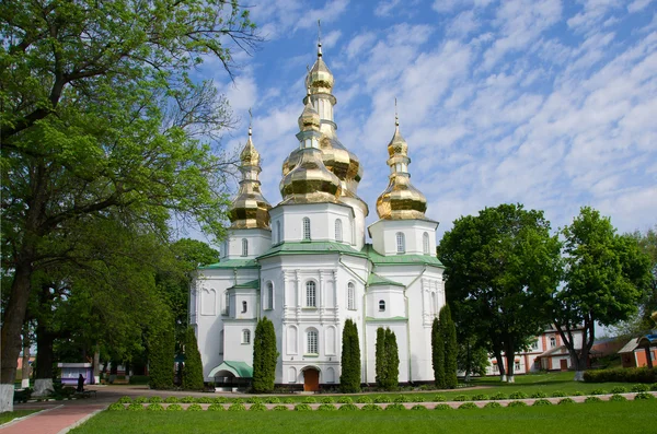 Свято-Троицкий монастырь в Густине. Черниговская область. Украинка — стоковое фото