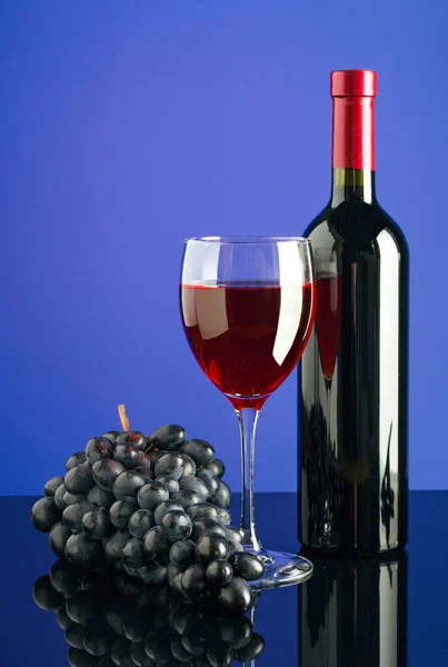 Glass Red Wine Bottle Wine Brush Blue Grapes Bright Colored — Stock Photo, Image
