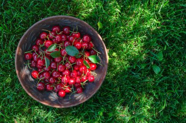 Yeşil çimlerin üzerinde kiraz kirazları kil tabakta. Üst görünüm.