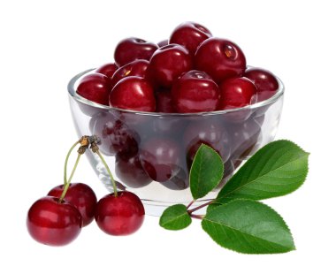 beyaz arkaplanda kiraz