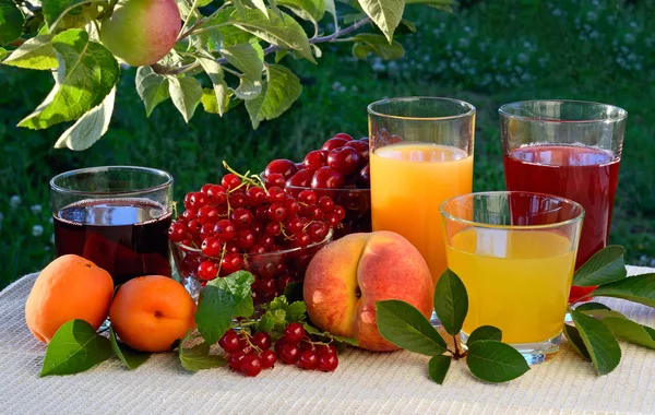 En mängd olika juicer med bär och frukter — Stockfoto