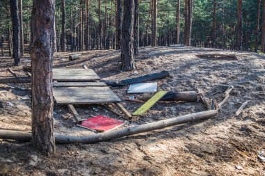 Fotoğrafçılık, ormanın doğasına aykırı bir çöp değildir. Çam ormanında çöp. İnsanlar yasadışı olarak ormana çöp atıyorlar. İnsan ve doğa kavramı.