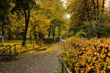 Sokakta sonbahar yaprakları, evlerin yakınındaki bahçeye düşmüş.