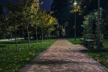 Sonbaharda fenerlerle dolu gece parkındaki sarp yol. Sonbahar sezonu boyunca parktaki banklar. Geceleri fenerlerle dolu bir parkın aydınlanması. Park Kyoto