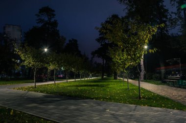 Sonbaharda fenerlerle dolu gece parkındaki sarp yol. Sonbahar sezonu boyunca parktaki banklar. Geceleri fenerlerle dolu bir parkın aydınlanması. Park Kyoto