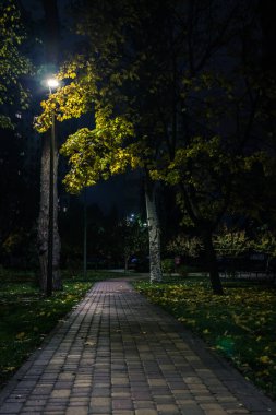 Sonbaharda fenerlerle dolu gece parkındaki sarp yol. Sonbahar sezonu boyunca parktaki banklar. Geceleri fenerlerle dolu bir parkın aydınlanması. Park Kyoto
