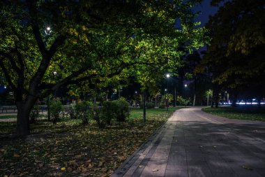 Sonbaharda fenerlerle dolu gece parkındaki sarp yol. Sonbahar sezonu boyunca parktaki banklar. Geceleri fenerlerle dolu bir parkın aydınlanması. Park Kyoto