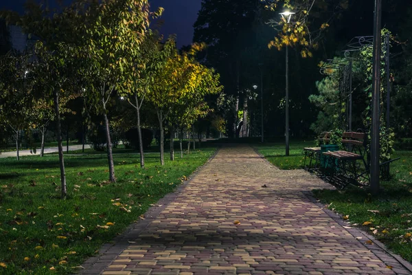 Camino Teiled Parque Nocturno Con Linternas Otoño Bancos Parque Durante —  Fotos de Stock