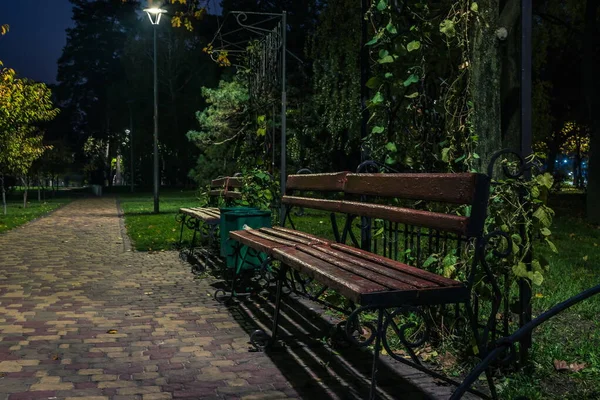 秋には提灯が並ぶ夜の公園内の有料道路 秋の夜に公園でベンチ 京都公園 — ストック写真