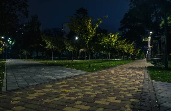 Ucpaná Cesta Nočním Parku Lucernami Podzim Lavičky Parku Během Podzimní — Stock fotografie