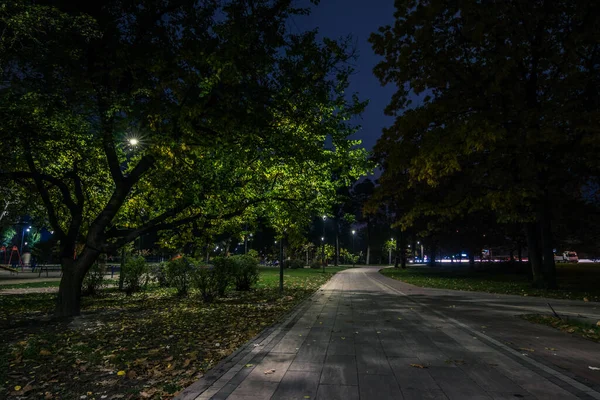 Estrada Teiled Parque Noturno Com Lanternas Outono Bancos Parque Durante — Fotografia de Stock