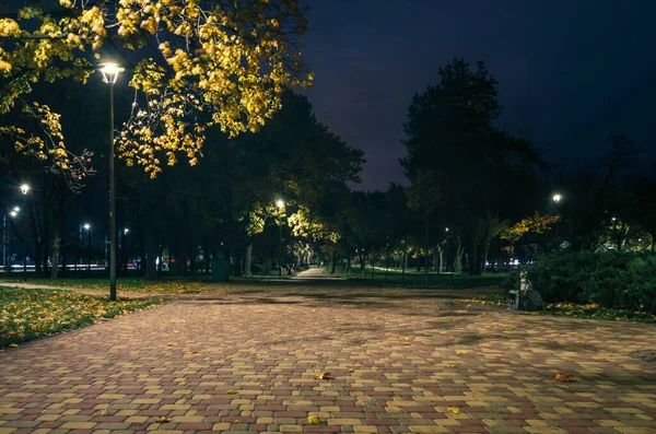 Camino Teiled Parque Nocturno Con Linternas Otoño Bancos Parque Durante —  Fotos de Stock