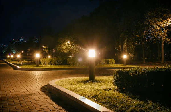 Ucpaná Cesta Nočním Parku Lucernami Podzim Lavičky Parku Během Podzimní — Stock fotografie