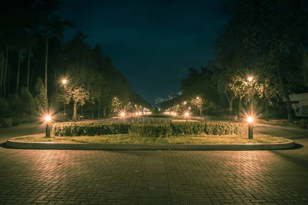 Ősszel Éjszakai Parkban Lámpásokkal Este Padok Parkban Őszi Szezonban Parkút — Stock Fotó