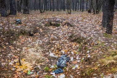 Çam ormanında çöp. İnsanlar yasadışı olarak ormana çöp atıyorlar. İnsan ve doğa kavramı. Köpük ve eski şeyler.