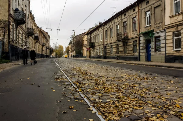 Україна Lviv Жовтня 2013 Стара Вулиця Трамвайною Дорогою Восени Поливала — стокове фото