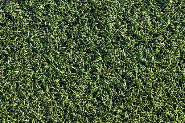 Green Grass Background Abstract Style Green Green Artificial Grass Texture — Stock Photo, Image