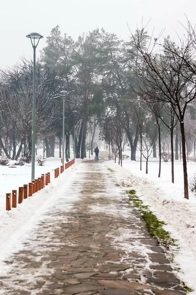 Pegadas Árvores Cobertas Neve Parque Cidade Inverno Derretendo Neve Nevoeiro — Fotografia de Stock