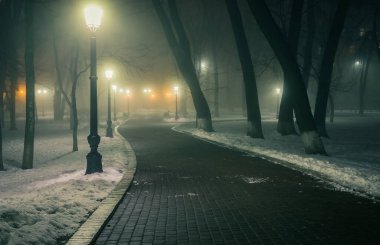 Gece vakti sisli bir kış parkında. Muhteşem bir kış kenti parkındaki patika gece sisli ve banklı. Mariinsky Park 'ta güzel sisli bir akşam. Kyiv, Ukrayna.