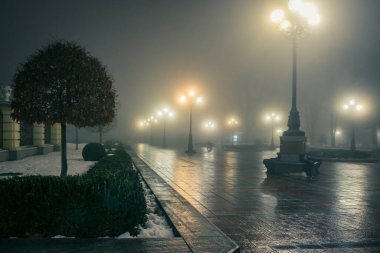 Sis içindeki bir kış parkının ana caddesi. Muhteşem bir kış kenti parkındaki patika gece sisli ve banklı. Mariinsky Park 'ta güzel sisli bir akşam. Kyiv, Ukrayna.