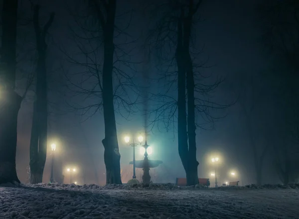 Gran Fontaine Parque Nocturno Invierno Una Niebla Sendero Fabuloso Parque — Foto de Stock