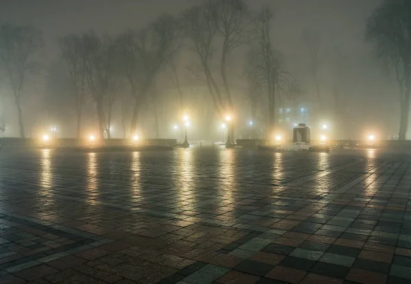 Egy Éjszakai Téli Park Sikátora Ködben Lábnyom Egy Mesés Téli — Stock Fotó