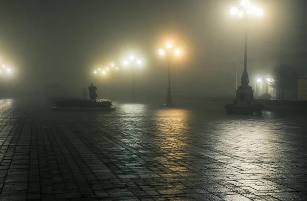 大雾中的冬夜公园的主要小巷 在一个迷人的冬城公园的人行道上 夜雾弥漫 长椅和厕所密布 美丽的雾蒙蒙的夜晚 在Mariinsky公园 乌克兰基辅 — 图库照片