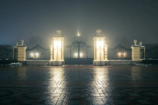 Mariinsky Palota Főkapuja Kerítése Egy Ködös Téli Éjszakán Mariinsky Palace — Stock Fotó