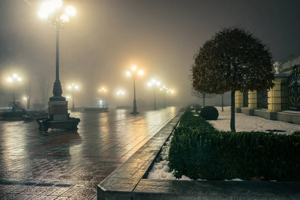 Callejón Principal Parque Nocturno Invierno Una Niebla Sendero Fabuloso Parque — Foto de Stock
