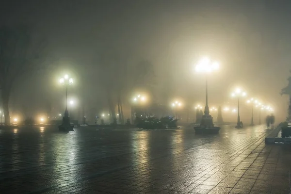 Hlavní Ulička Nočního Zimního Parku Mlze Stezka Nádherném Zimním Městském — Stock fotografie