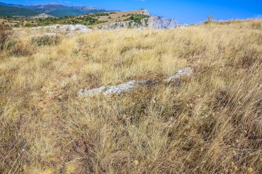Akdeniz manzarası. Açık güneşli bir günde Kırım Yarımadası 'nın güney kıyısındaki Karadeniz kıyısındaki sarı çimenler ve orman kayaları. Kayalık dağlardan denize bak.