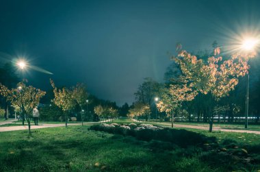 Sonbaharda fenerlerle dolu gece parkındaki sarp yol. Sonbahar sezonu boyunca parktaki banklar. Geceleri fenerlerle dolu bir parkın aydınlanması. Park Kyoto