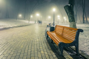 Gece vakti sisli bir kış parkında. Muhteşem bir kış kenti parkındaki patika gece sisli ve banklı. Mariinsky Park 'ta güzel sisli bir akşam. Kyiv, Ukrayna.