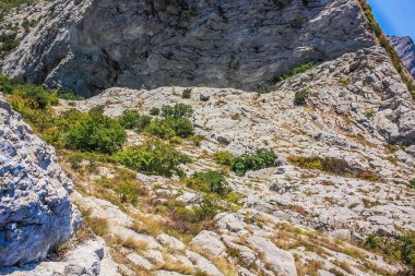 Akdeniz manzarası. Kırım Yarımadası 'nın güney kıyısındaki Karadeniz kıyısındaki taşlı kayalar güneşli bir günde.
