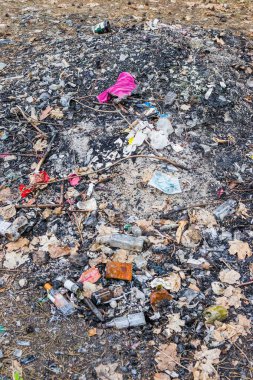 Çam ormanında çöp. Cam alkol şişeleri ormana saçılmış. İnsanlar yasadışı olarak ormana çöp atıyorlar. İnsan ve doğa kavramı. şişeler