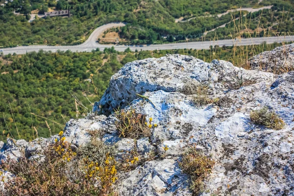 Lucertola Sul Ciglio Una Scogliera Rocciosa Rocce Forestali Della Costa — Foto Stock