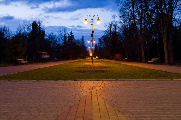 Червона Провулок Громадському Парку Ввечері Біг Червоній Дорозі Парк Ранньою — стокове фото