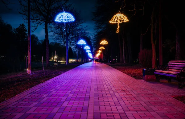 Route Carrelée Dans Parc Nuit Avec Des Parasols Éclairés Bancs — Photo