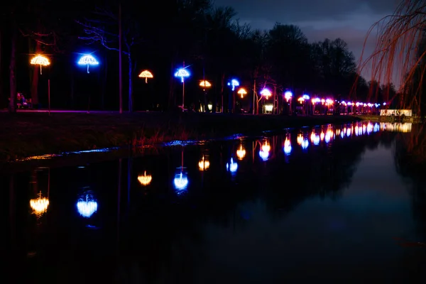 Дорога Ночном Парке Освещенными Зонтиками Отражением Реке Освещение Парковой Дороги — стоковое фото