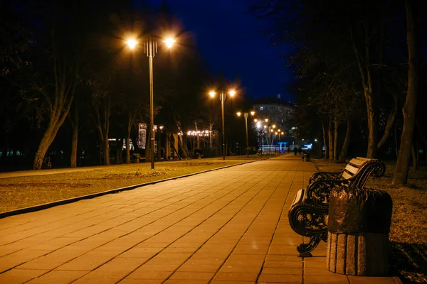 Gece Parkı Ahşap Banklar Sokak Lambaları Park Sokağı Gece Parkındaki — Stok fotoğraf