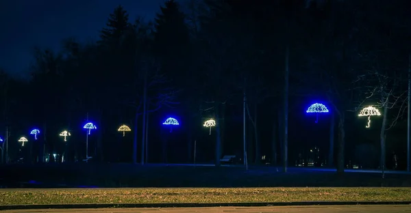 ライトアップされた傘のある夜の公園のタイル張りの道 夜の公園でベンチ 夜になると道の上に傘を差して小さな提灯が立ち並ぶ公園道のイルミネーション ルツク ウクライナ — ストック写真