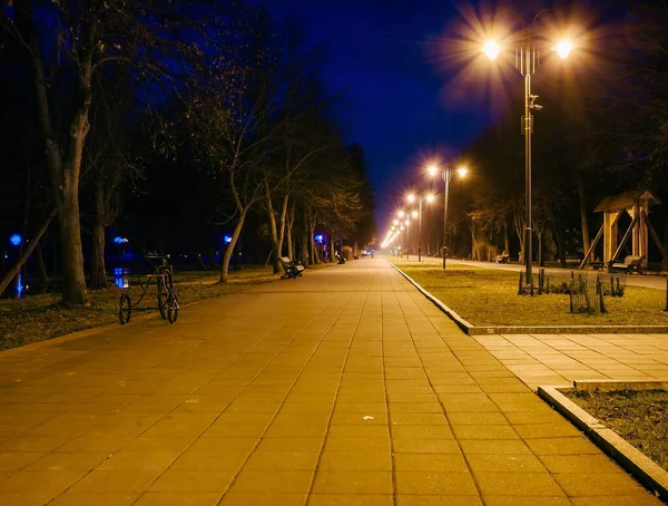 Éjszakai Városliget Padok Utcai Lámpák Parkoló Sikátor Csempézett Éjszakai Parkban — Stock Fotó