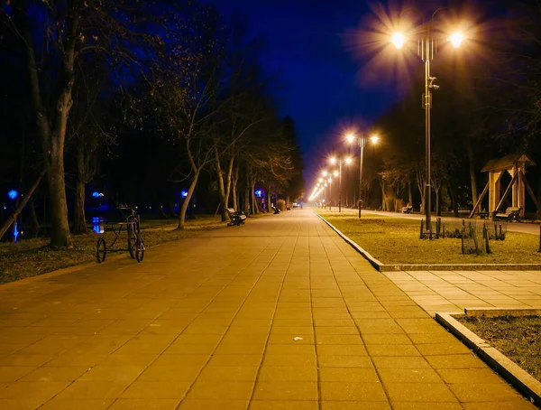 Parque Nocturno Bancos Madera Farolas Callejón Del Parque Camino Baldosas —  Fotos de Stock